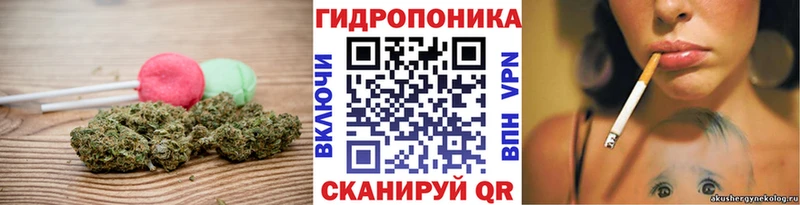наркошоп  Яхрома  Cannafood конопля 