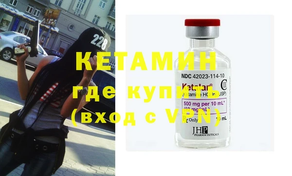 трава Белокуриха