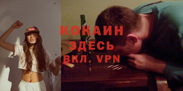 трава Белокуриха
