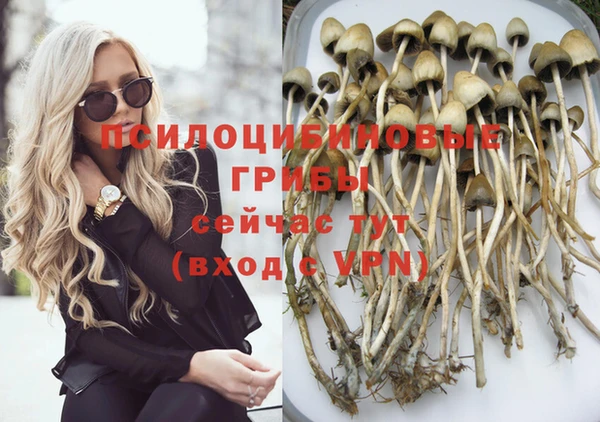 трава Белокуриха