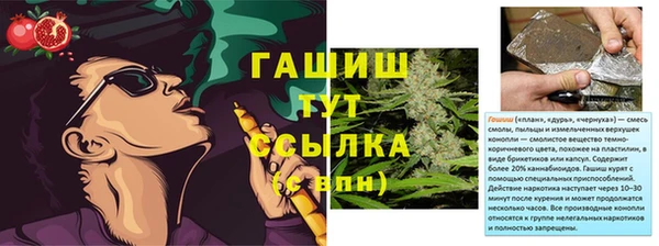 трава Белокуриха