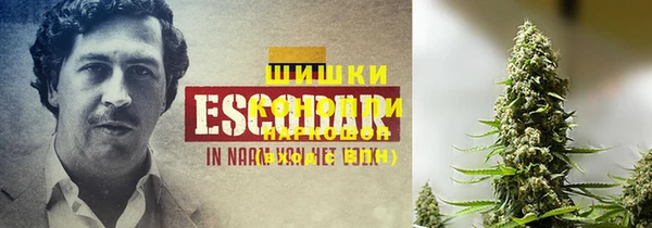 трава Белокуриха